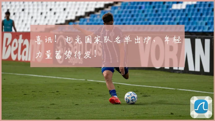 喜讯!电竞国家队名单出炉,年轻力量蓄势待发!