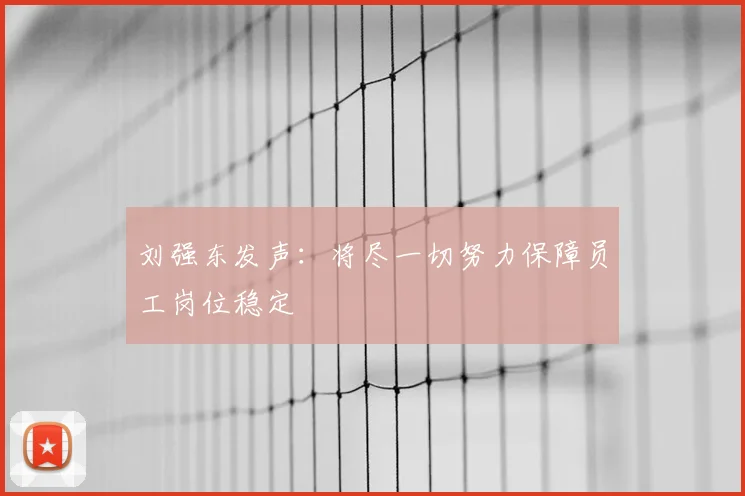 刘强东发声:将尽一切努力保障员工岗位稳定