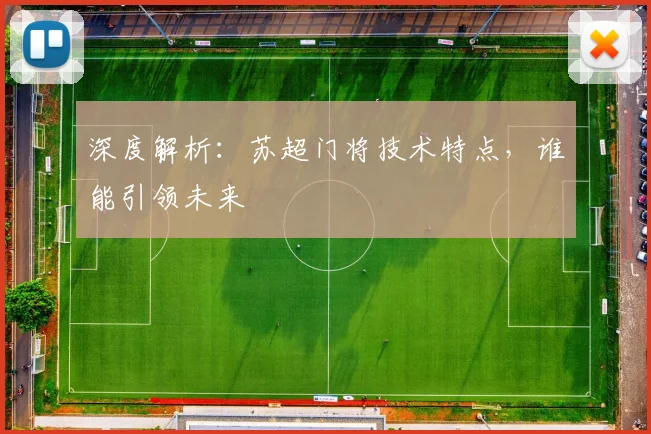 深度解析：苏超门将技术特点，谁能引领未来